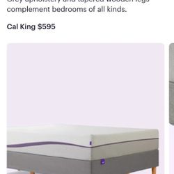 Cal King Purple Bed Frame
