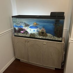 50-55 Gallon 48”x21”x12” Aquarium / Fish Tank / Reptile Tank