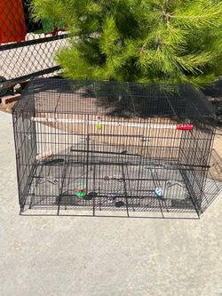 Bird  cage