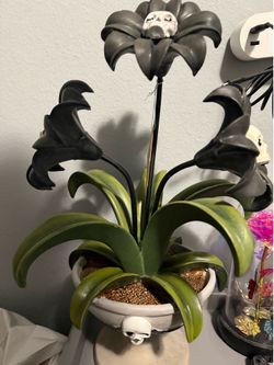 Halloween Themed Plant