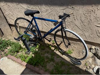 Fixie bike
