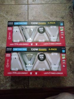 Outdoor flood light