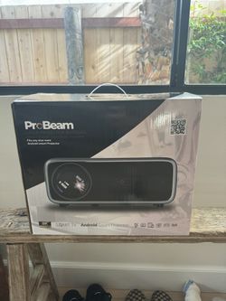 ProBeam Projector And Screen