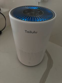 Tailulu mini air purifier