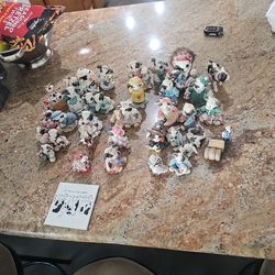 Collection