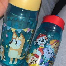 Water Bottle For Kids 