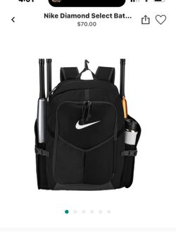 Baseball Bat Bag Nike & DeMarini Like New
