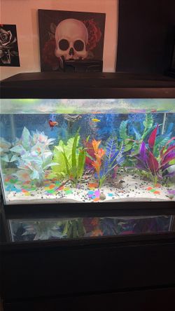 Fish tank