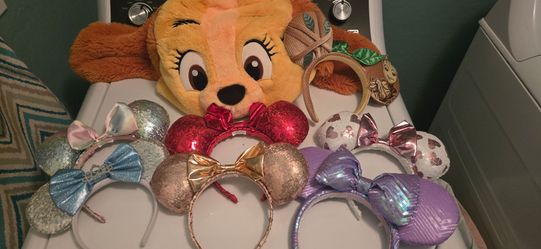 Disney Ear & Hat Bundle