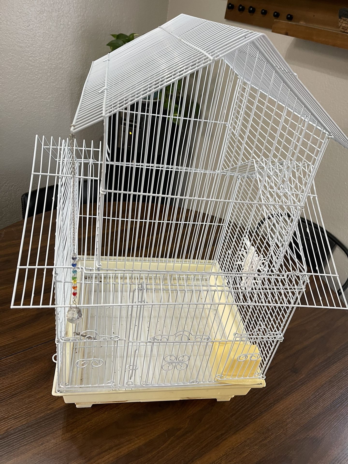 Bird Cage