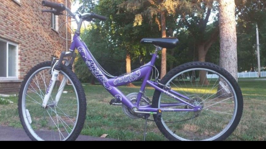 NICE ADULT BIKE