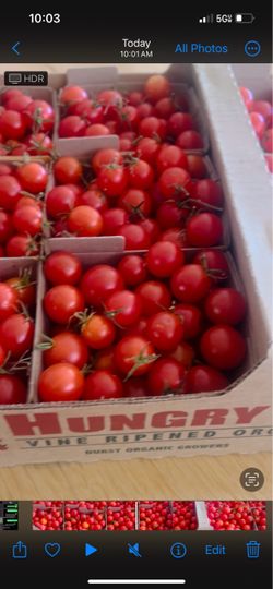 🍅 FRESH ORGANIC BABY TOMATOES FOR SALE! 🍅