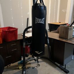 Everlast Punching Bag