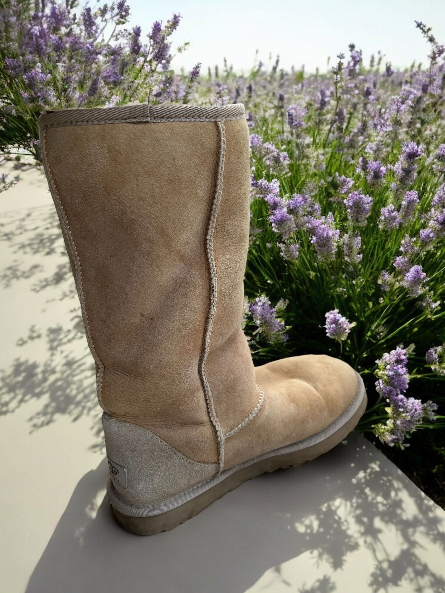Tall Sand Ugg Boots | Winter