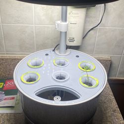 Hydroponic Aero Garden Plant Starter