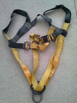 Safety harness