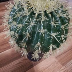 Cactus Round 12 Inches Fake Plant New