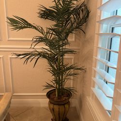 Natural 6 ft. Areca Palm Artificial Tree in an urn planter
