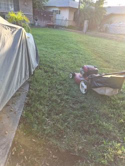🤠🤠🤠🤠🤠🤠 landscaping  i can do it for you
