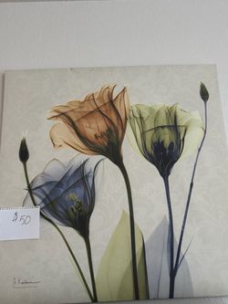 Floral X-Ray Art Canvas Print