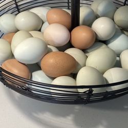Eggs