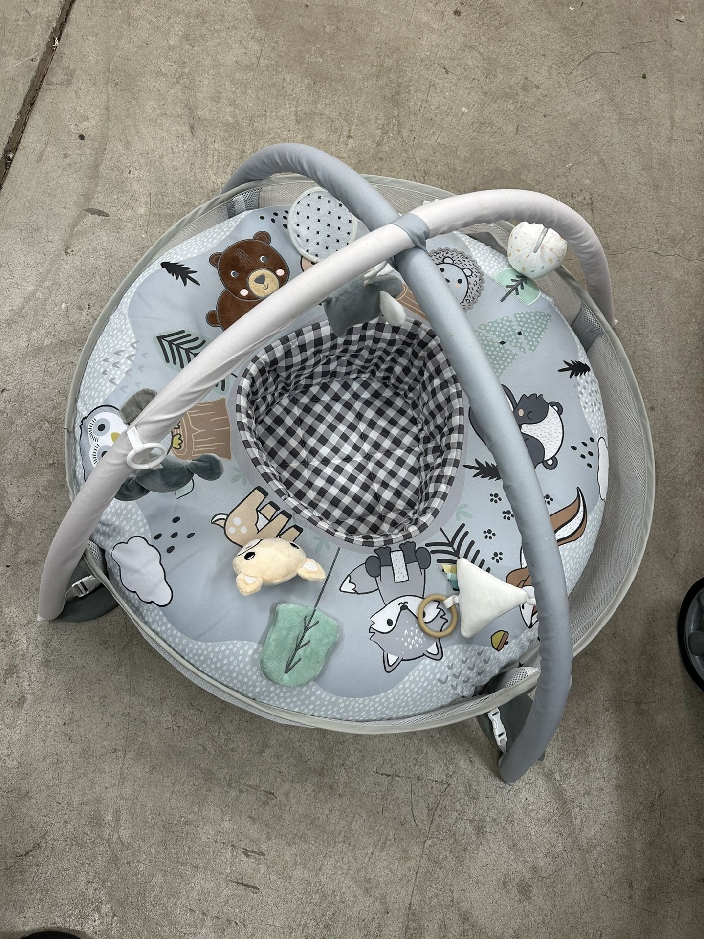 Baby Play Gym