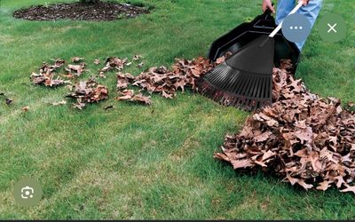 Cleaning yard front and back