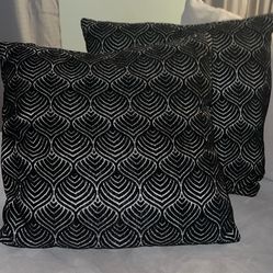 2 Sofa Pillows $15 for Both
