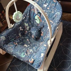 Fisher Price Rock And Play Seat