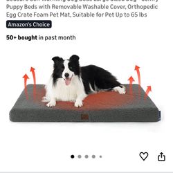 Dog Bed 
