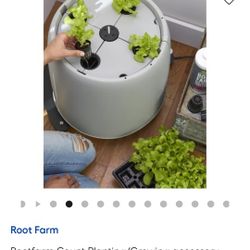 Root Farm  Hydroponic