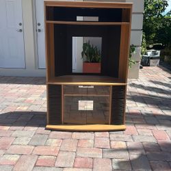 tv shelf/ cubby