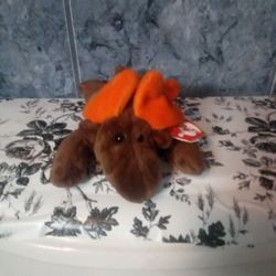 Rare Beanie Baby Chocolate Moose