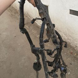 2002 Rsx Base Model Engine Harness