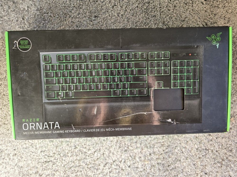 Razer ornata