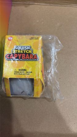Capybara squishy