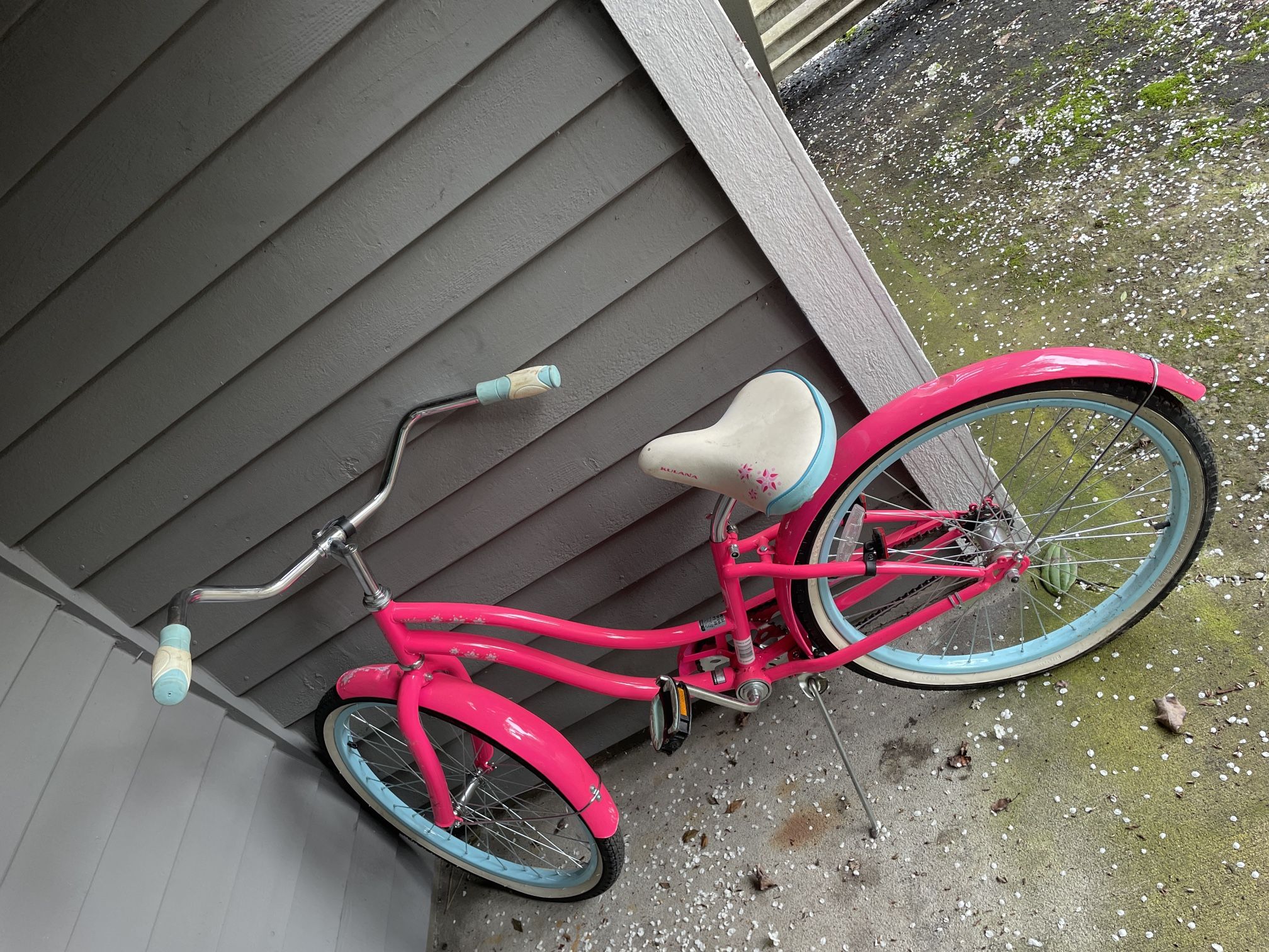 Beach Cruiser Bike
