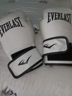 Everlast Boxing Gloves
