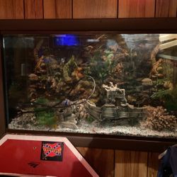 Fish tank