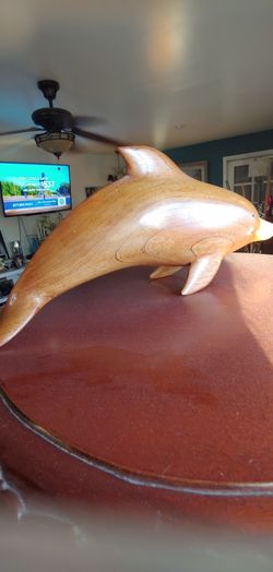 Dolfin