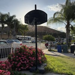 Basketball Hoop