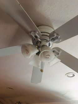 Ceiling Fan