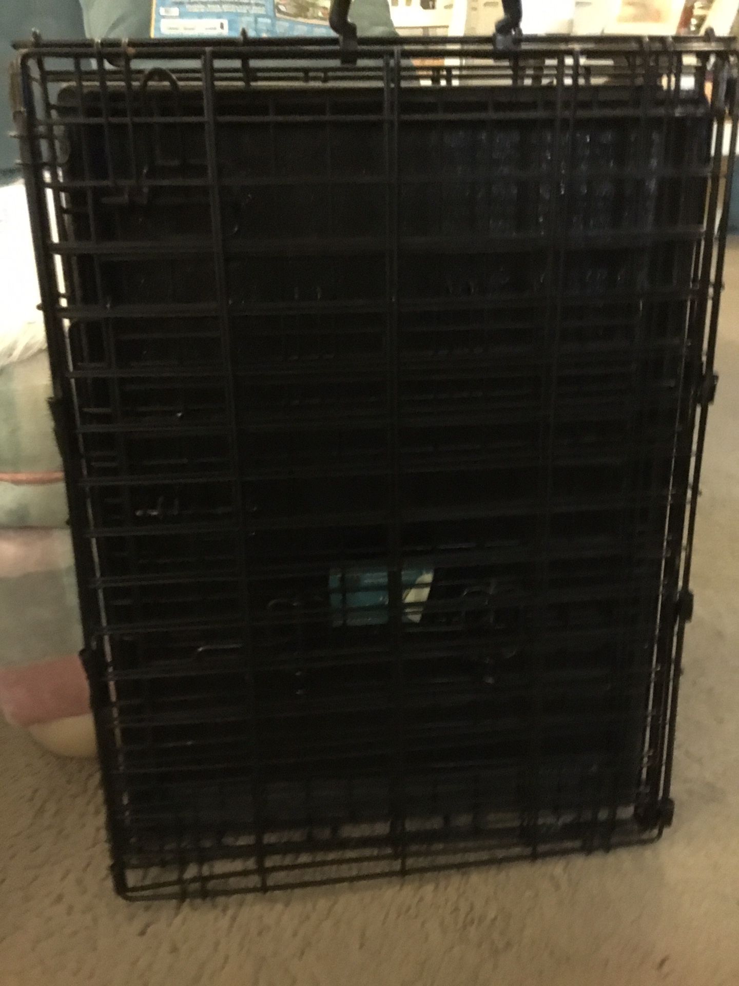 Wire Dog Crate