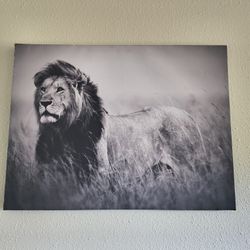 Lion Photo Wall Art Decor
