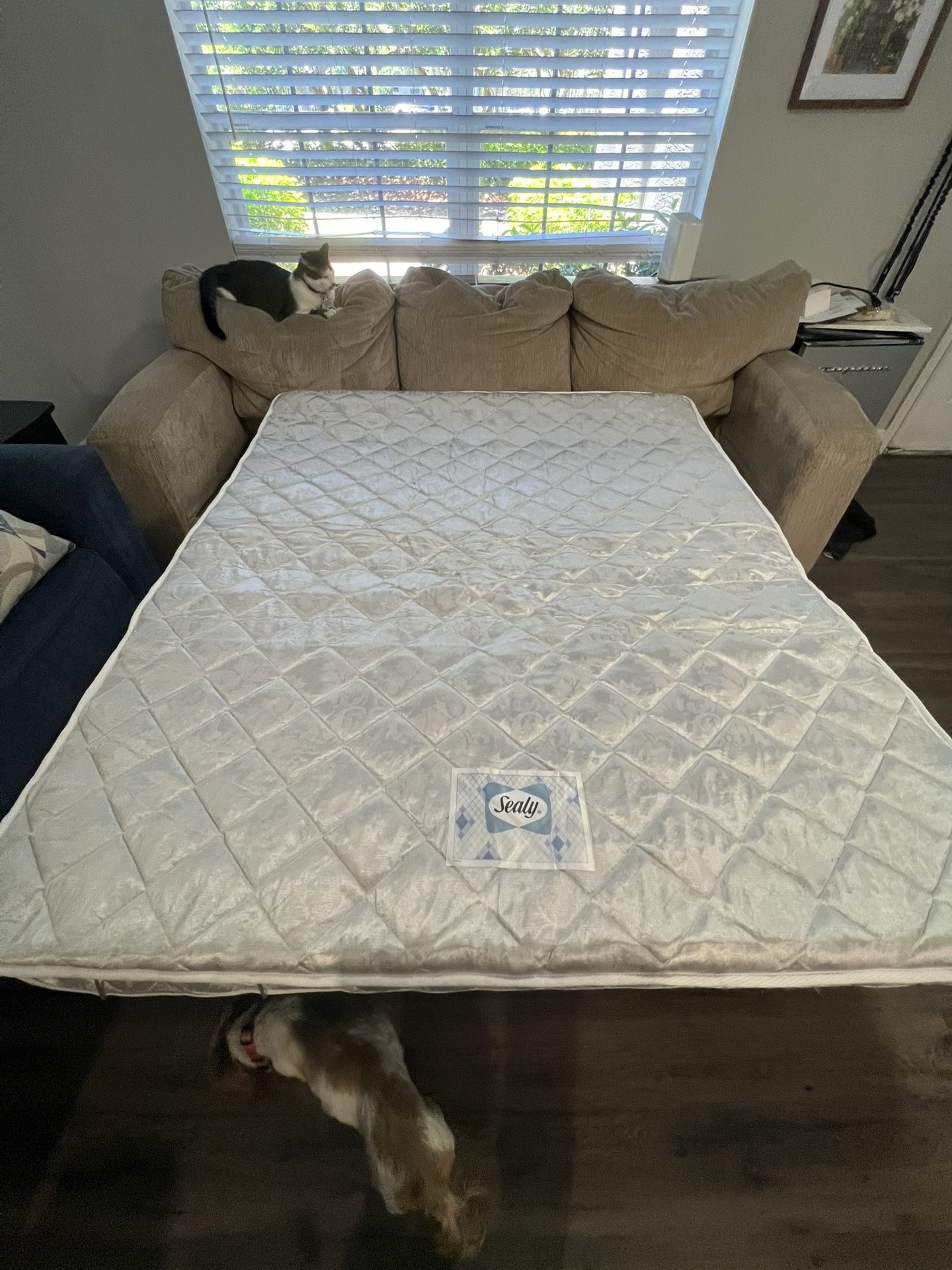 Couch With Queen Size Pull Out