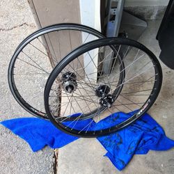 Gt Rythem 24 Bmx Bike Wheels Mohawk Sealed Hubs Stainless Spokes 200 Takes