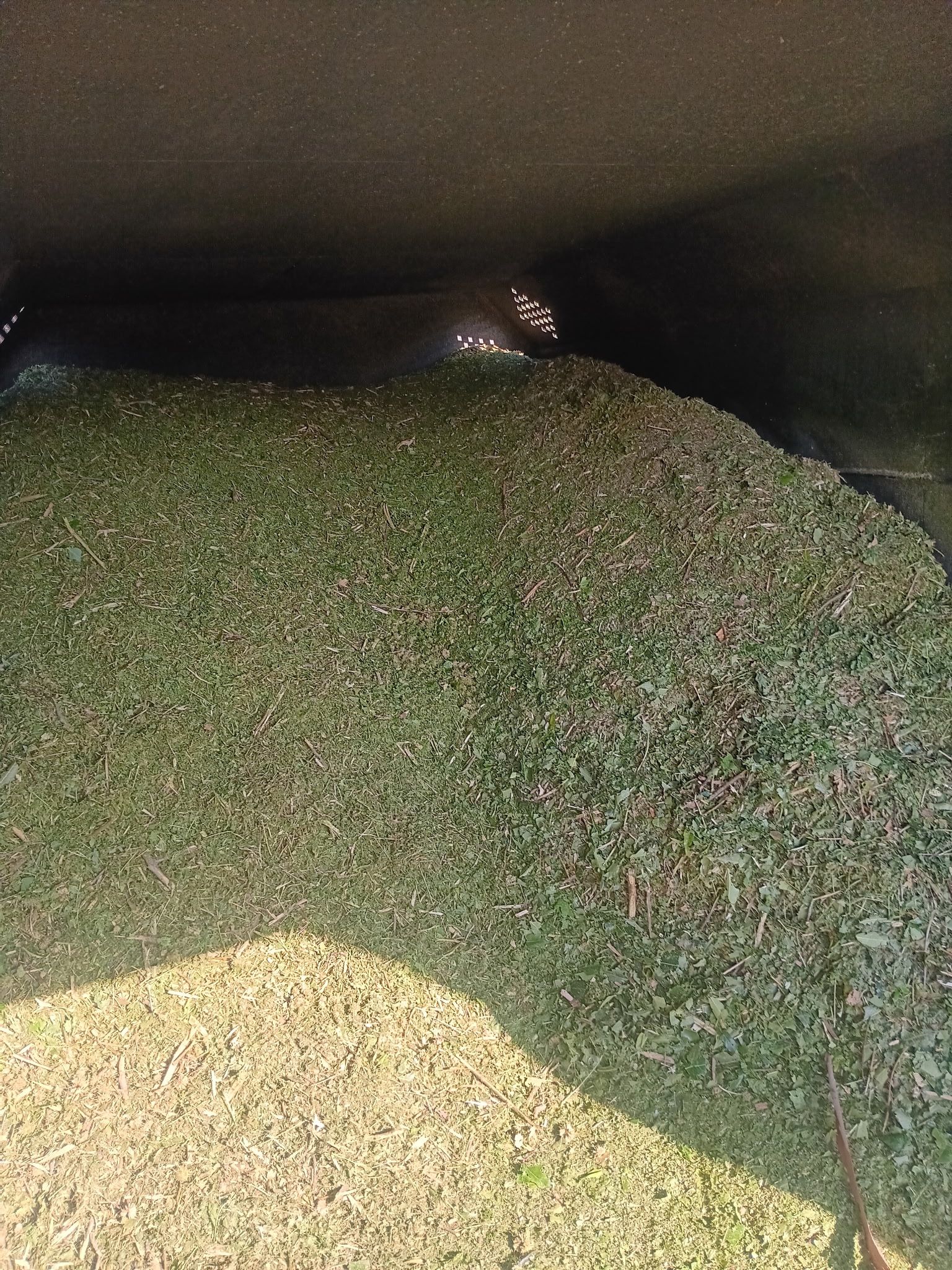 FREE Clean Wood Chip Mulch