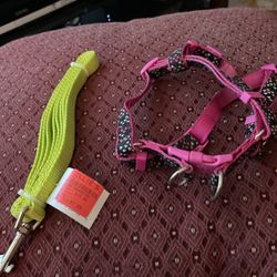 Dog Harness & Leash