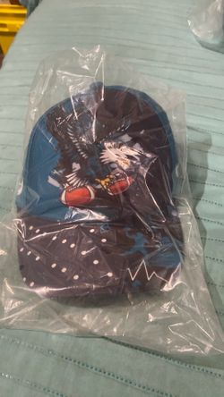 Philadelphia Eagles Hat