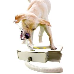 Dog Water Dispenser Pet Fountain 